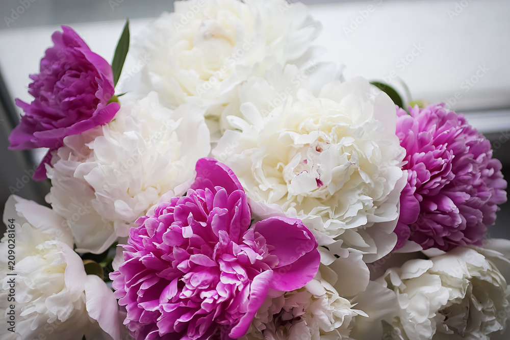 Bouquet of flowers close-up. White and pink peonies. Bouquet of flowers close-up. White and pink peonies.