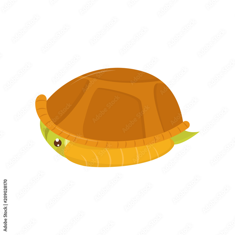 Scared green turtle hiding in its shell. Cartoon character of reptile. Marine animal. Flat vector element for children book Scared green turtle hiding in its shell. Cartoon character of reptile. Marine animal. Flat vector element for children book