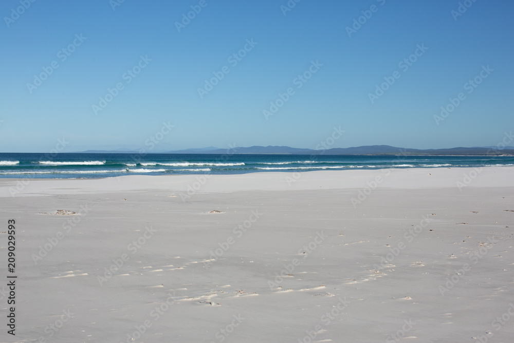 Obraz premium White sand beach at The Bay of Fires, Tasmania, Australia
