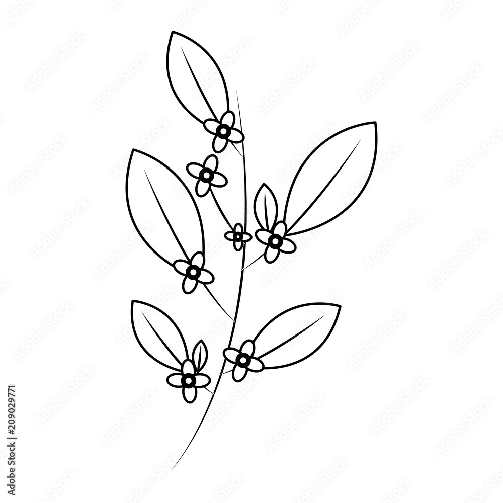 branch with leaves and flowers isolated icon vector illustration design branch with leaves and flowers isolated icon vector illustration design