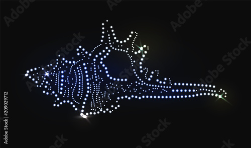 Sea shell made with precious gems on black background