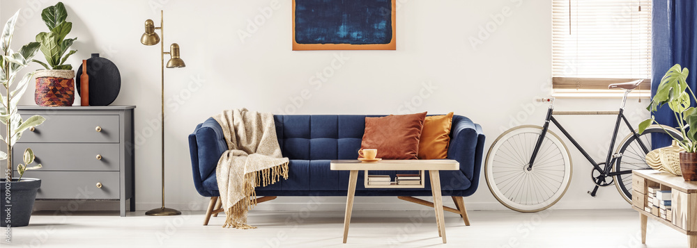 Next store navy cushions