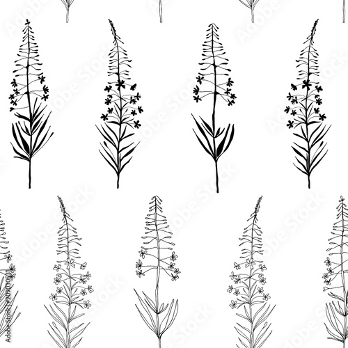 Vector floral seamless pattern with hand drawn  summer wild  flowers.