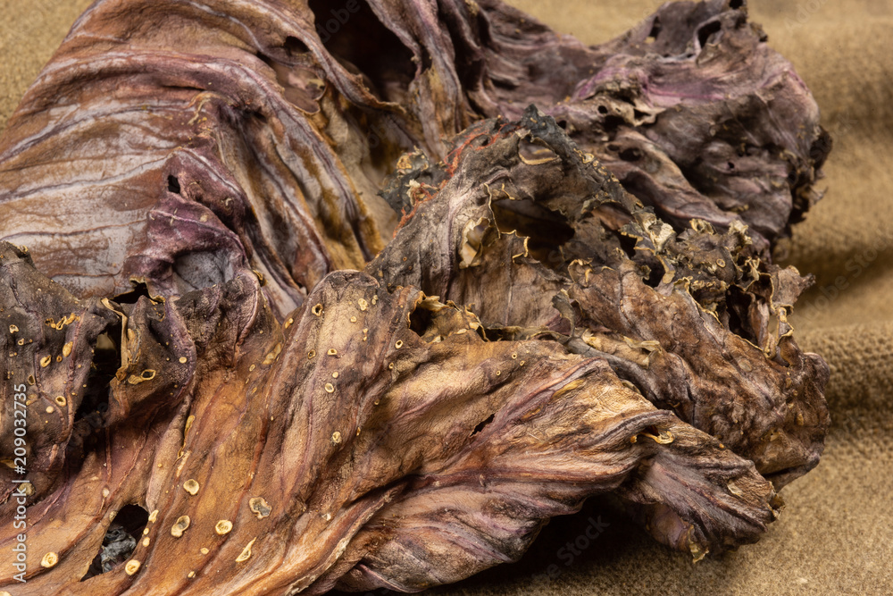 Detail of dried Red Cabbage leaf Detail of dried Red Cabbage leaf