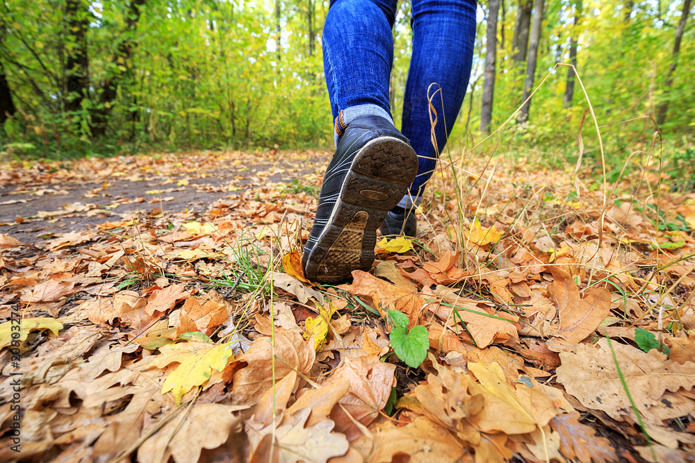 Fototapeta premium Young girl in jeans and sneakers on his feet, walks through the fall leaves on the road in the woods in the sunshine outdoors