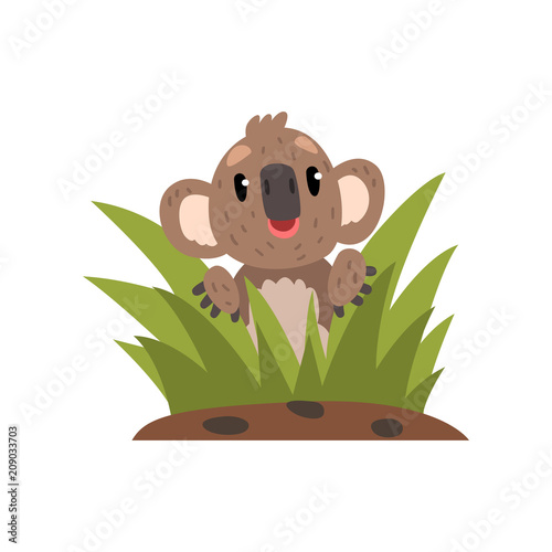 Sweet koala bear sitting among the grass, Australian marsupial animal character vector Illustrations on a white background
