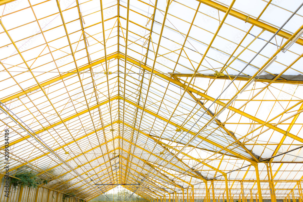 cristal roof on the glasshouse