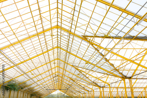 cristal roof on the glasshouse