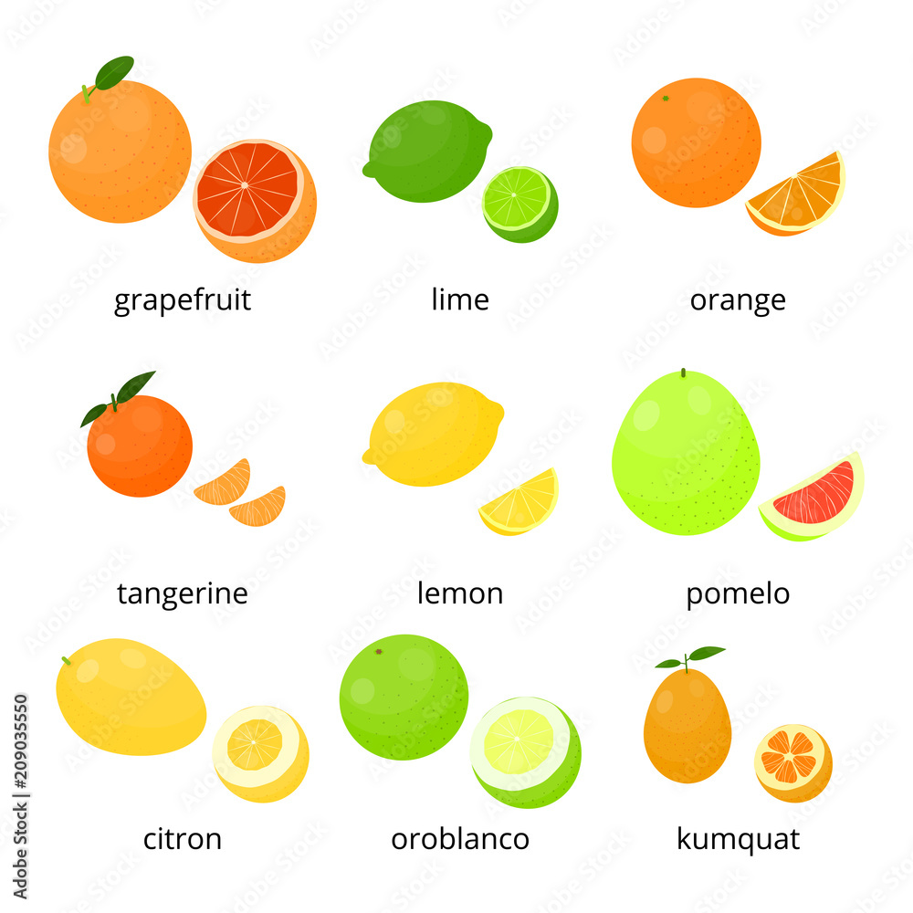 Bright cartoon citrus fruits set. Bright cartoon citrus fruits set.