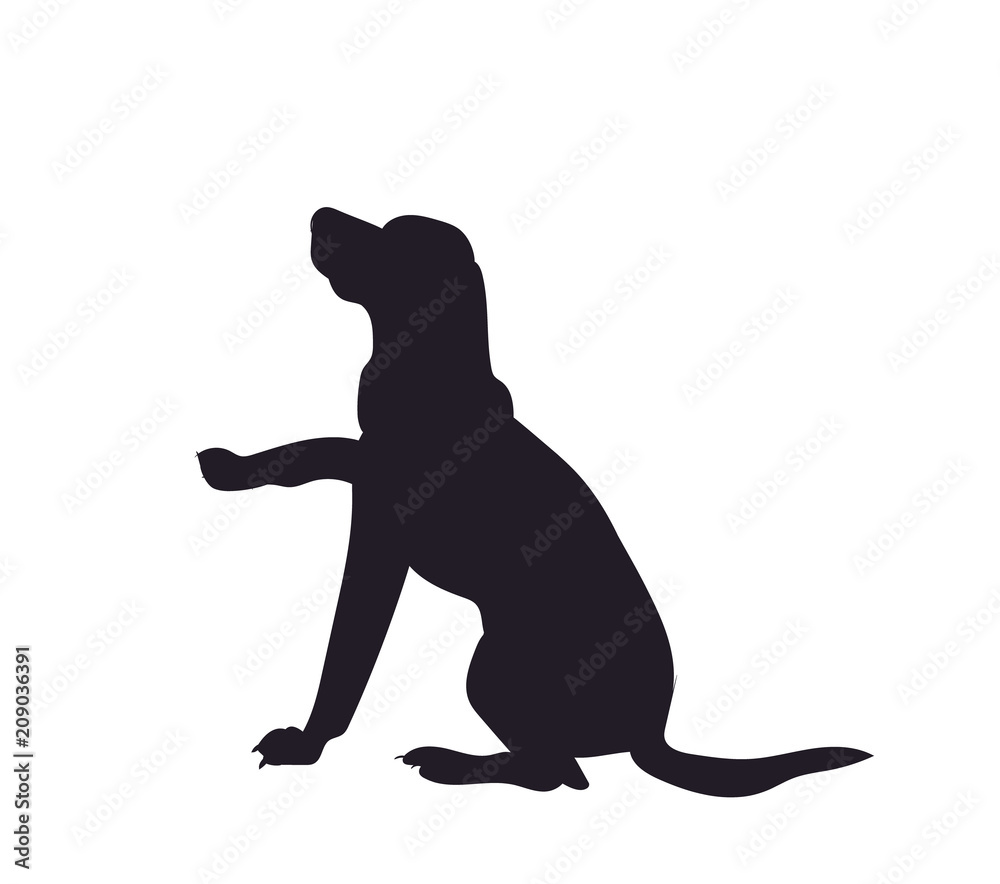 dog asking for food, silhouette, vector