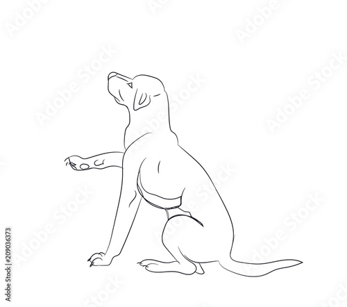 dog asking, lines, vector