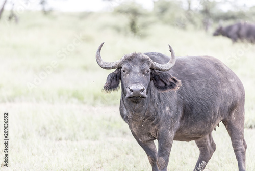 Serengeti National Park