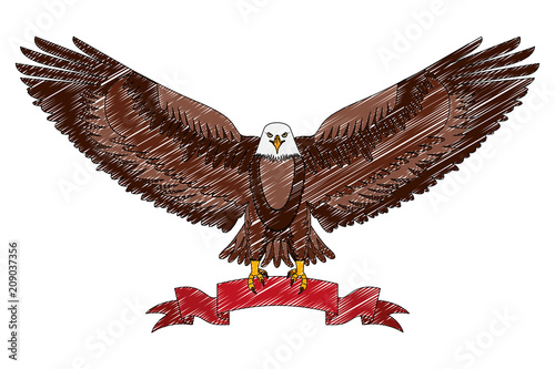 american eagle spread wings with ribbon in the talons vector illustration drawing