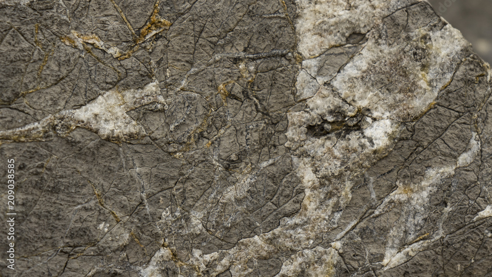 In the piece of rock, the barely visible minerals of the minerals are visible. In the piece of rock, the barely visible minerals of the minerals are visible.