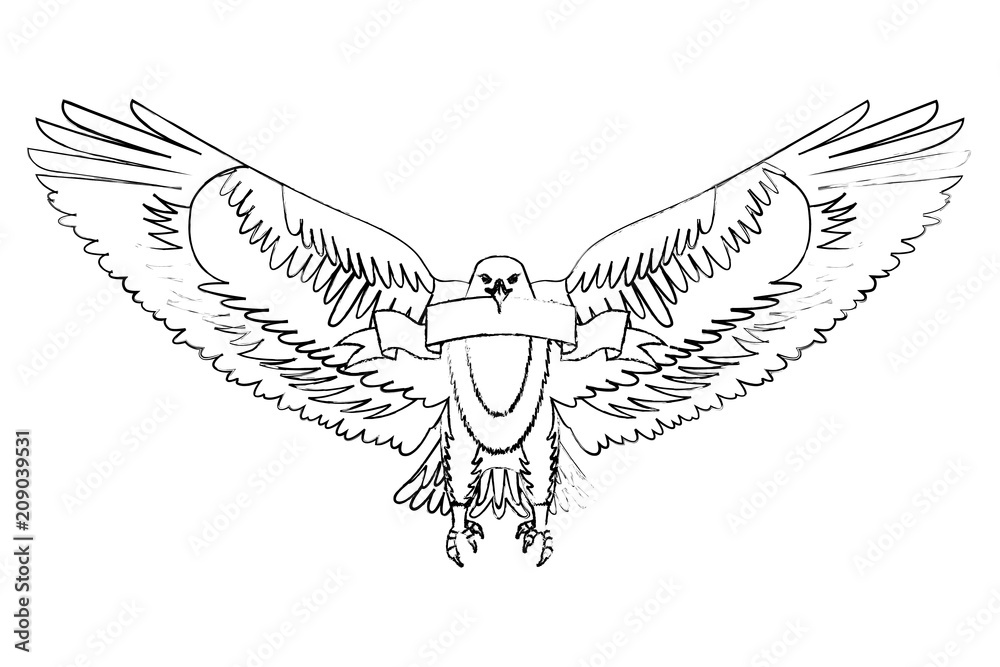 Eagle Wing Png Freeuse Download - Alas De Aguila Dibujo - Free Transparent  PNG Clipart Images Download
