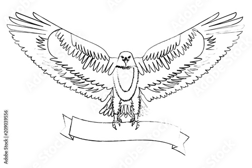 american eagle spread wings with ribbon in the talons vector illustration sketch