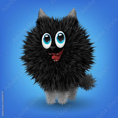 Funny little animal, fluffy black dog