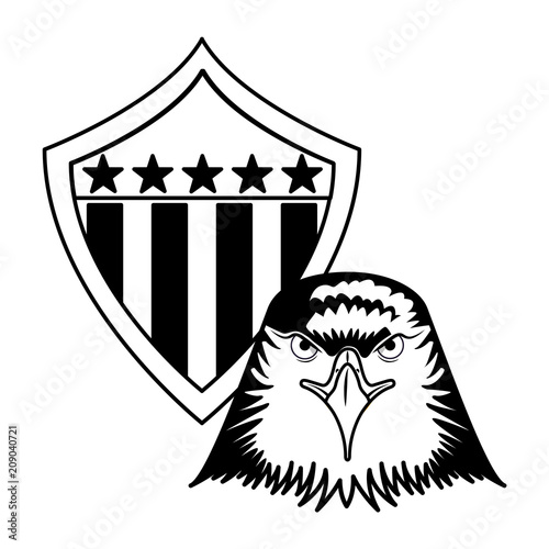american bald eagle shield vector illustration design