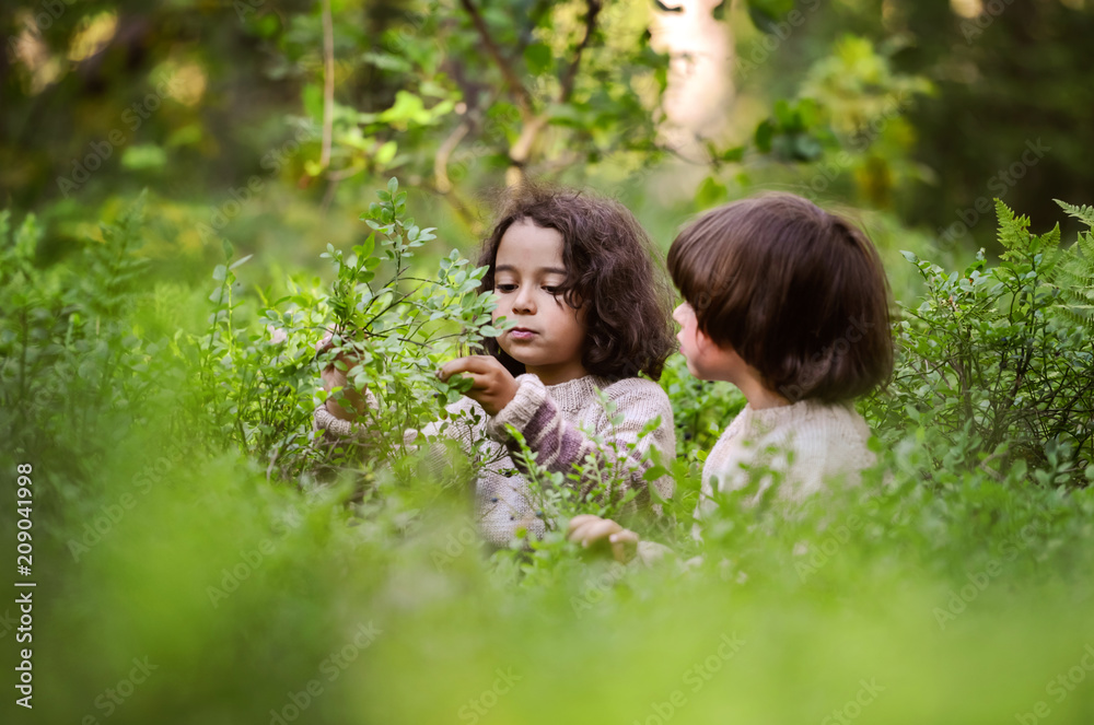 Two boys in identical sweaters eat blueberries in the woods from the bushes. Two boys in identical sweaters eat blueberries in the woods from the bushes.