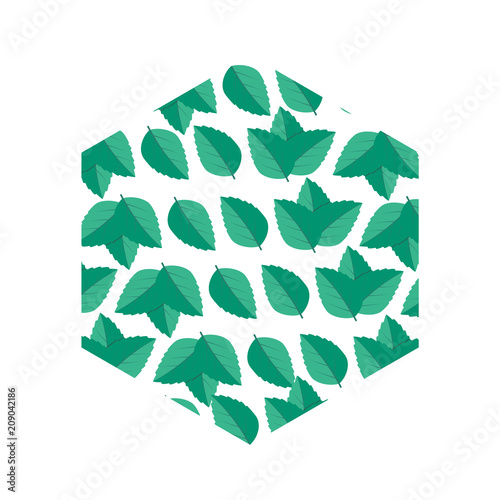 Vector menthol healthy aroma. Mint leaves vector logo