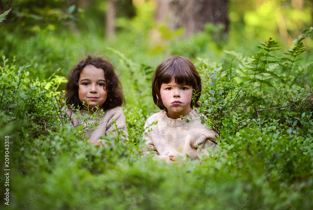 Two boys in identical sweaters eat blueberries in the woods from the bushes. Two boys in identical sweaters eat blueberries in the woods from the bushes.