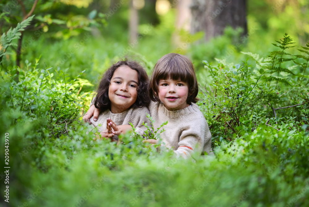 Fototapeta premium Two boys in identical sweaters eat blueberries in the woods from the bushes.