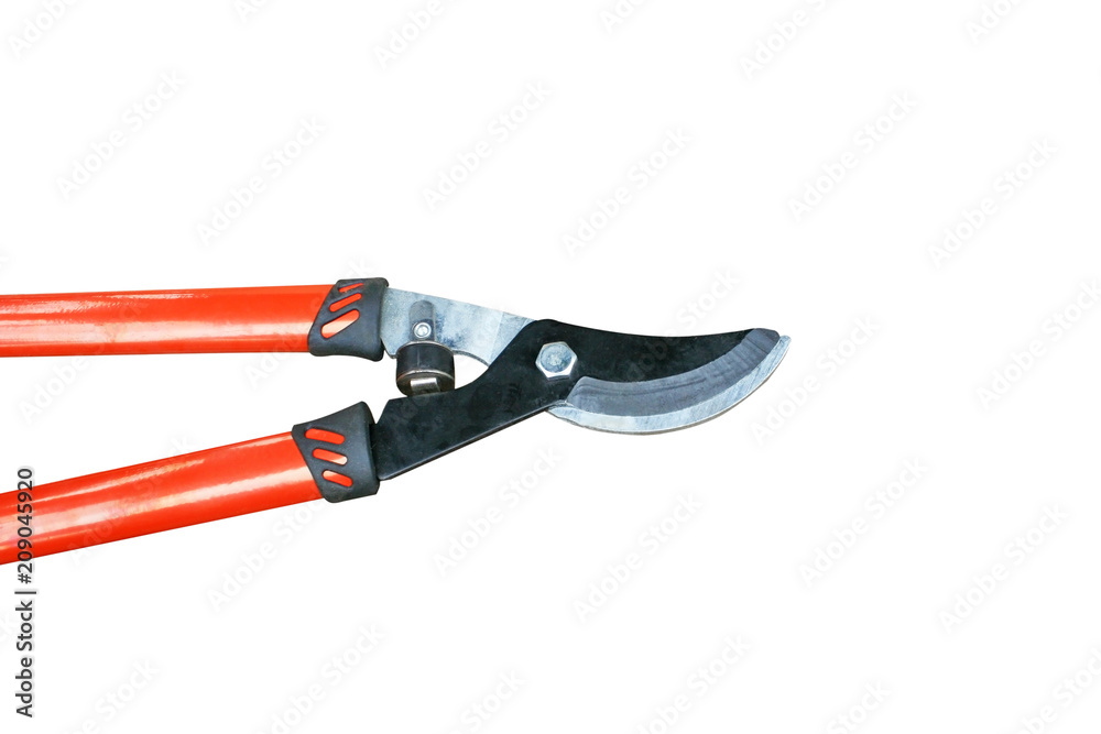 Orange pruning shears isolated on white background Orange pruning shears isolated on white background