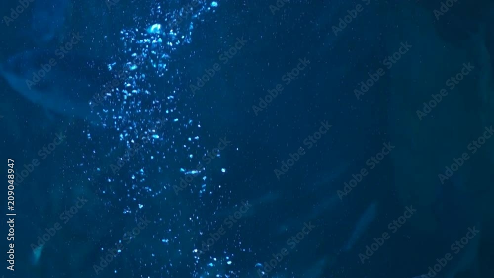 Slow Motion Underwater Bubbles Rising In Ocean 120fps Slow Motion Underwater Bubbles Rising In Ocean 120fps