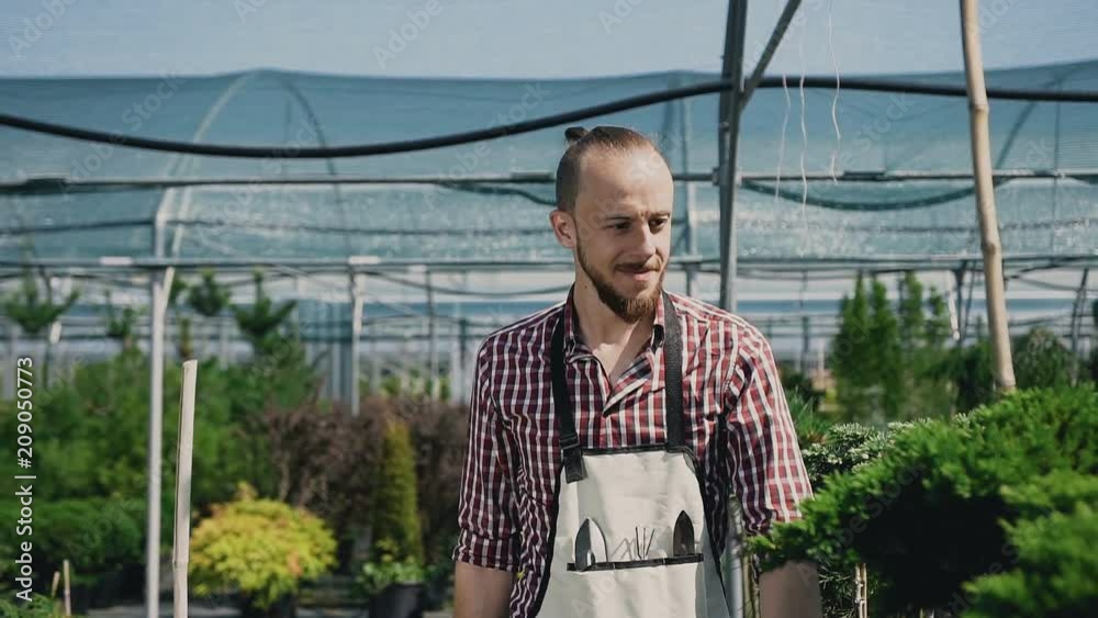 A smiling man is a gardener dressed in an apron with garden tools. Agricultural greenhouse with a lot of beautiful plants. A smiling man is a gardener dressed in an apron with garden tools. Agricultural greenhouse with a lot of beautiful plants.