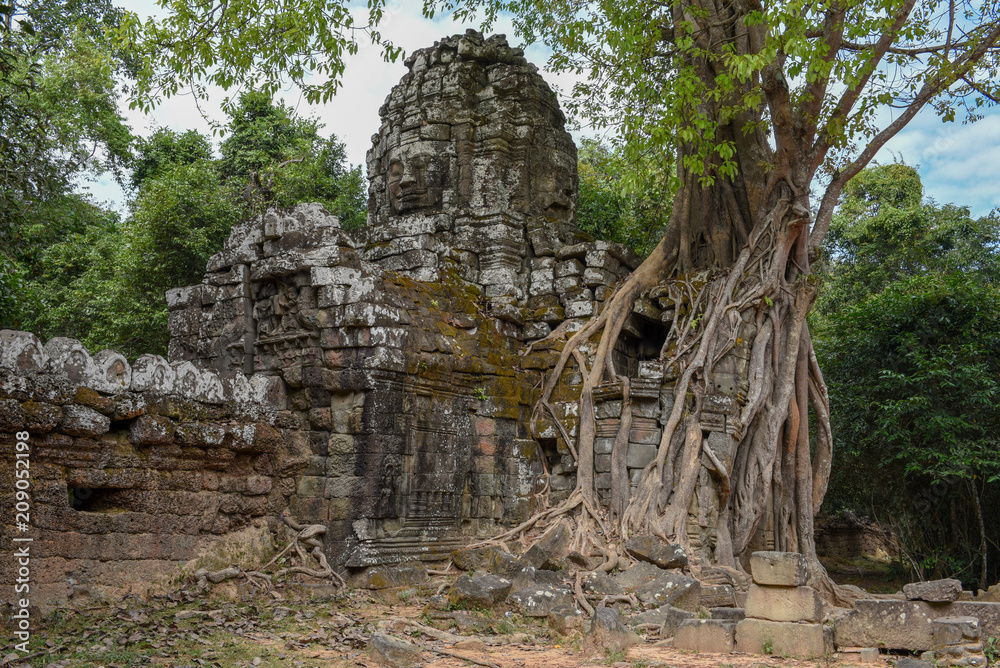 Tropical tree on Ta Som temple at Angkor complex