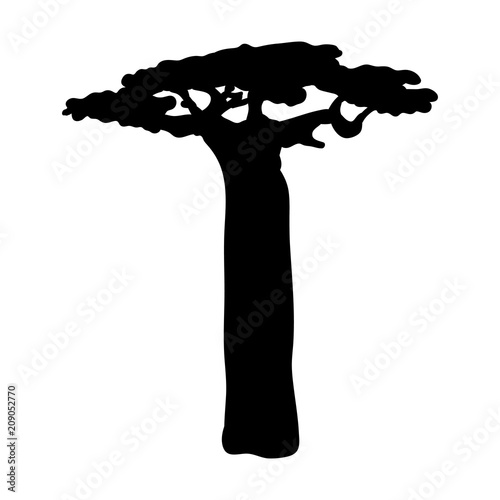 Slika na platnu Silhouette baobab icon tree flora