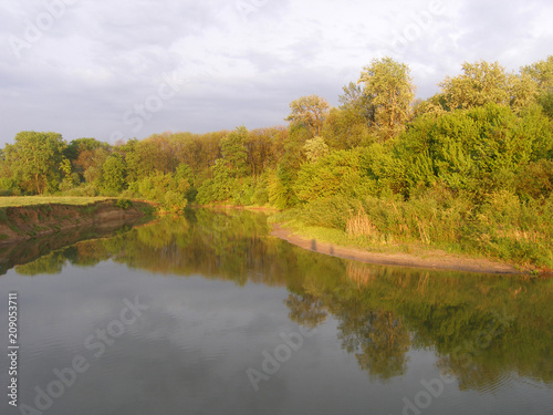 Summer landscape with trees, small river.
