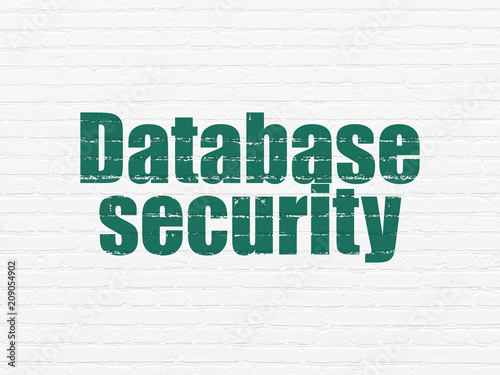 Database concept: Painted green text Database Security on White Brick wall background