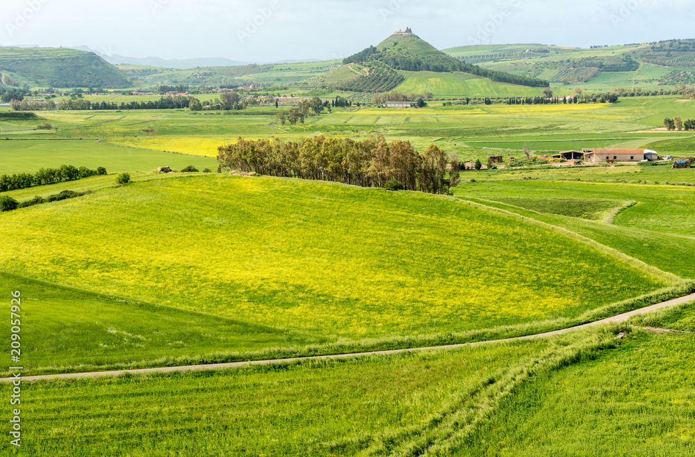 view of Marmilla Region. Marmilla is a natural region of southern-central Sardinia, Italy. in the background you can see the fortress of Castello di Marmilla