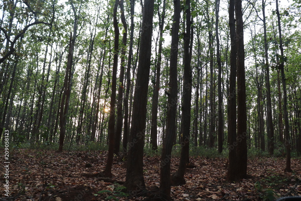 Obraz premium Hemang