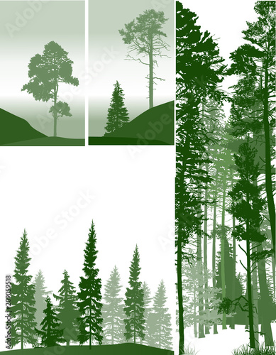 four green compositions with pine forest silhouettes