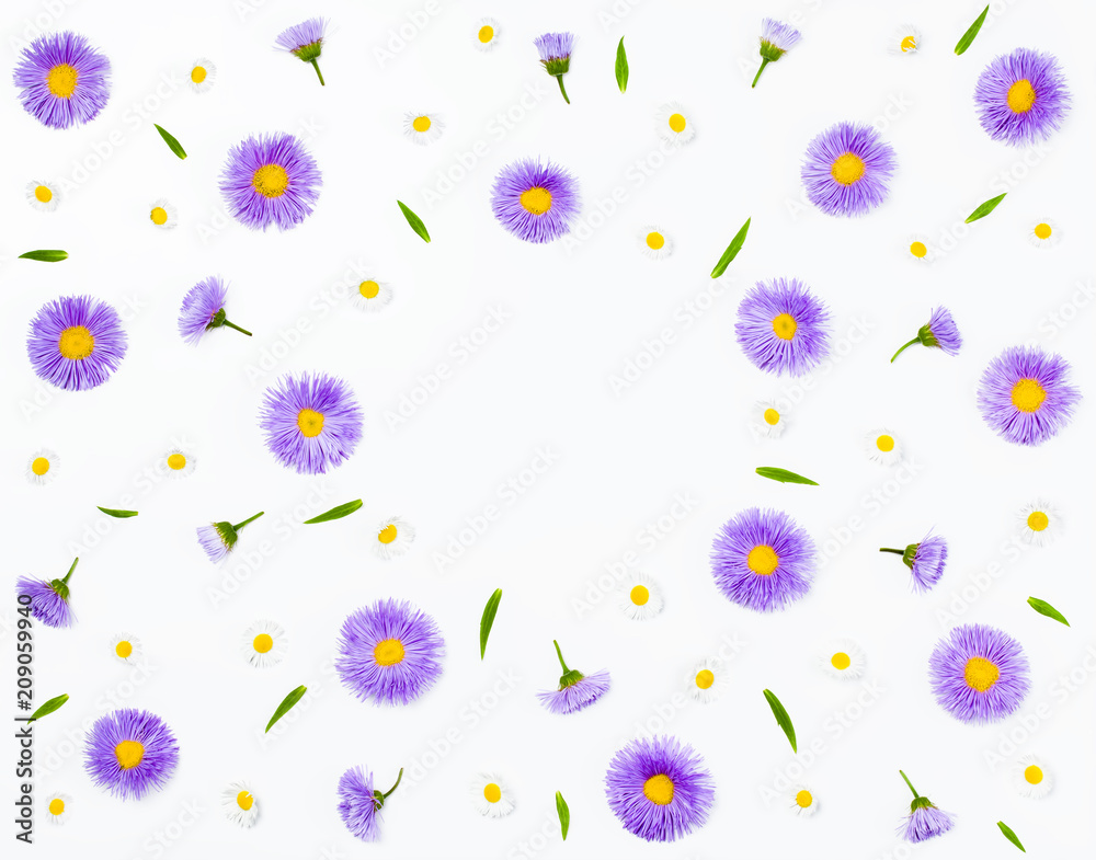 Floral frame made of violet asters and chamomile on white background. Flat lay. Top view with copy space.