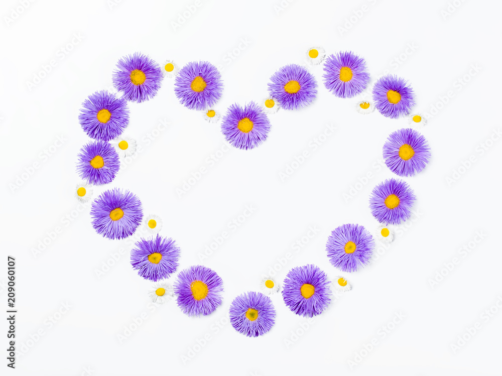 Heart symbol made of violet flowers and chamomile isolated on white background. Flat lay. Top view.