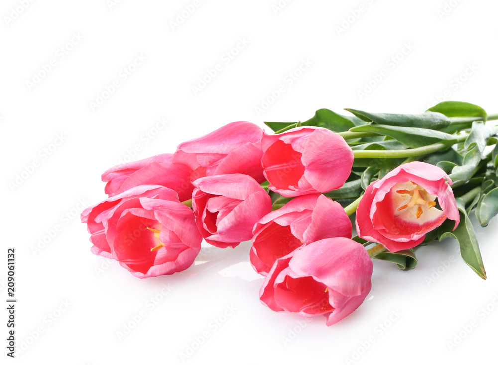 Beautiful tulips on white background Beautiful tulips on white background