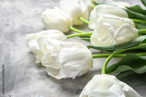 Beautiful tulips on grey background, closeup © Pixel-Shot