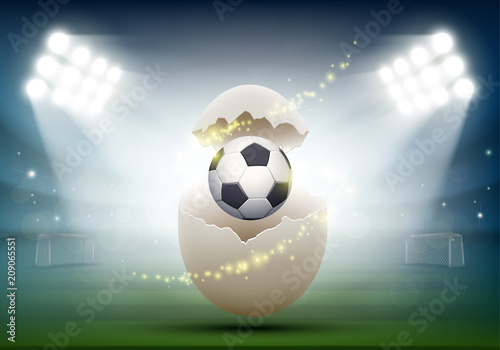 Soccer ball in a chicken egg at the stadium