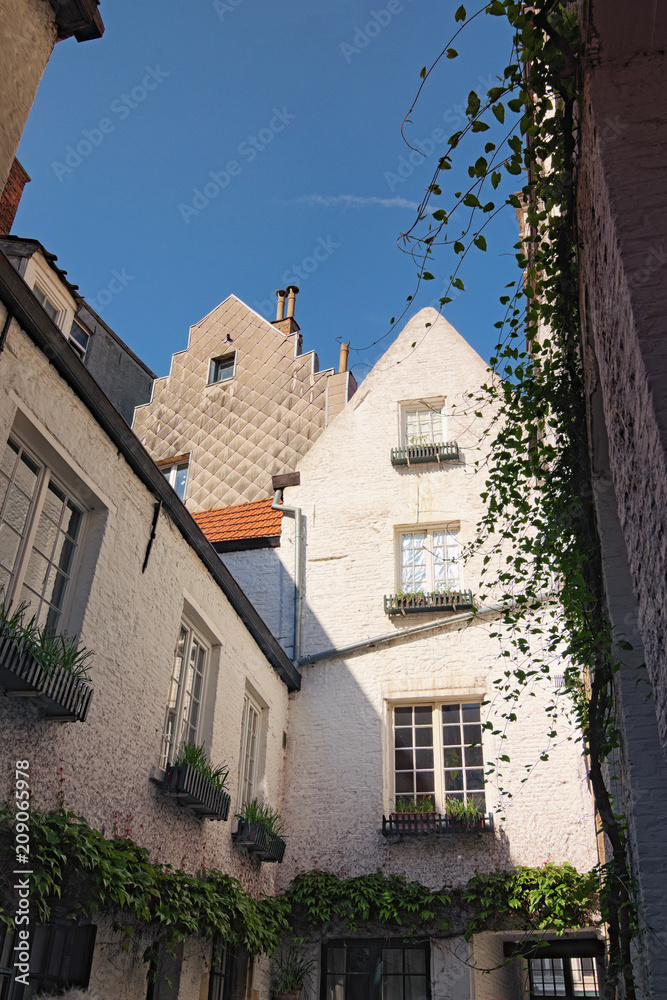 The ancient ,famous and narrow Vlaeykensgang. It is alley between Oude Koornmarkt street and Hoogstraat street in the history center of Antwerp, Belgium The ancient ,famous and narrow Vlaeykensgang. It is alley between Oude Koornmarkt street and Hoogstraat street in the history center of Antwerp, Belgium
