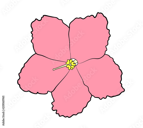 Vector illustration, isolated pink violet flower, outline hand painted drawing