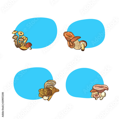 Vector hand drawn mushrooms stickers set with place for text illustration