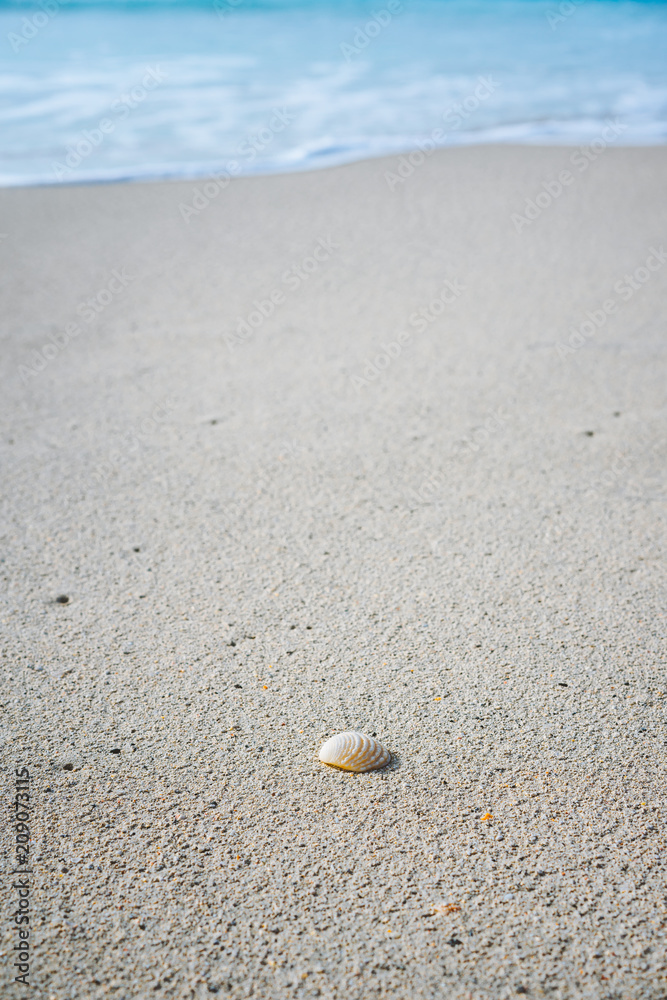 Seashell on sandy beach with white foam of rolling ocean waves in background. Tropical beach with azure blue water Seashell on sandy beach with white foam of rolling ocean waves in background. Tropical beach with azure blue water