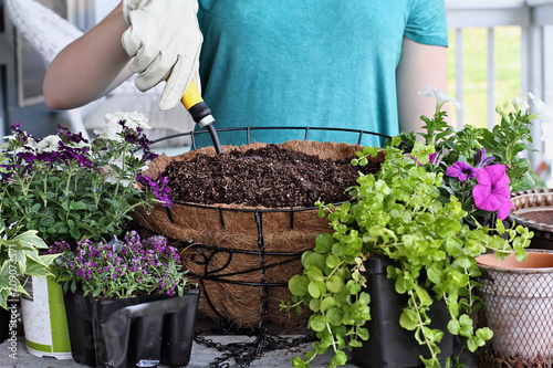 How to Plant a Hanging Basket of Flowers