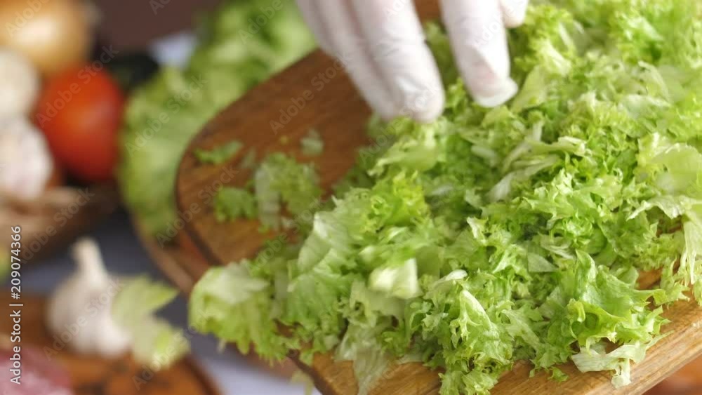 Preparation of salad, chef pours into the plate chopped lettuce leaves Preparation of salad, chef pours into the plate chopped lettuce leaves