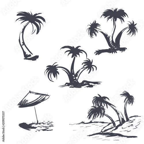 A set of palm trees, a sketch. Vector illustration on white background