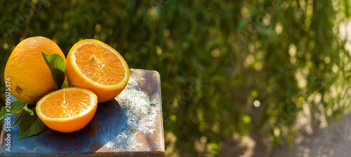 Fotografie juicy fresh fruit in the basket