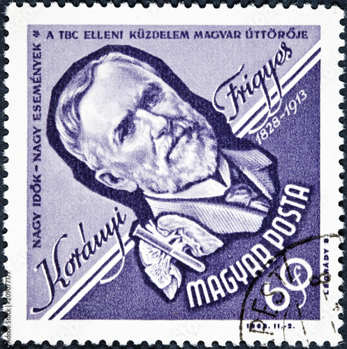 A stamp printed in Hungary shows a portrait image of Frigyes Koranyi de Tolcsva, Physician photo